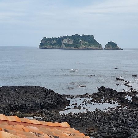 فيلا Jeju Amoje مدينة سيوجويبو المظهر الخارجي الصورة